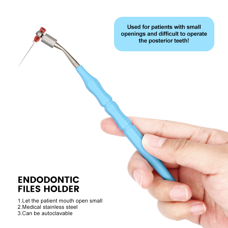 1pc Manual root canal file hol - Woodworking File 리뷰 및 가격